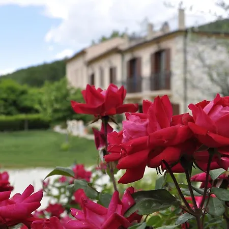 Tenuta Rosato Colledimezzo