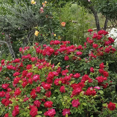 Casa di campagna Tenuta Rosato Colledimezzo