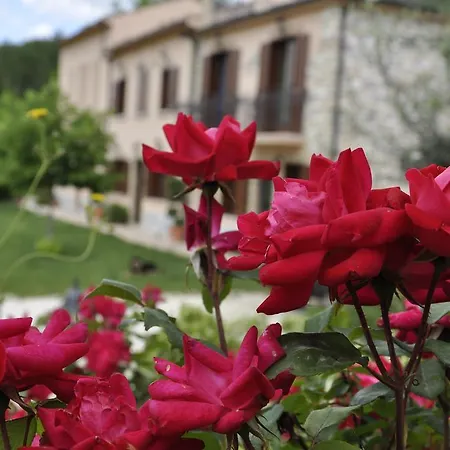 Tenuta Rosato
